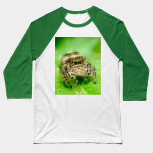 Jumping Spider on a Green Leaf. Macro Photography Baseball T-Shirt